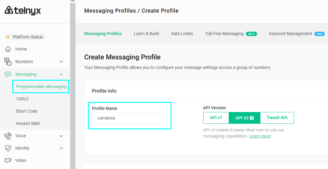 Programmable Messaging.png