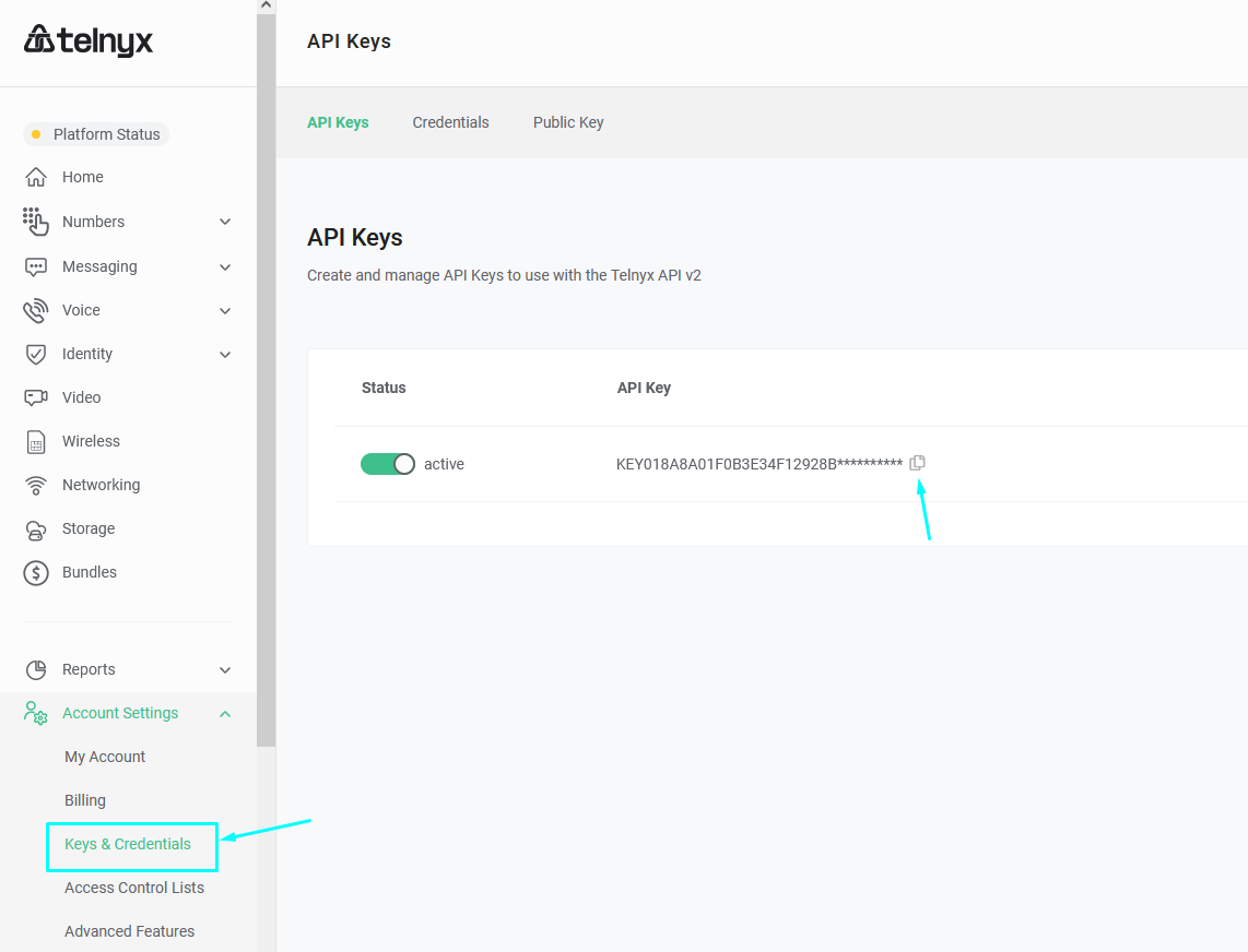 API_keys.png
